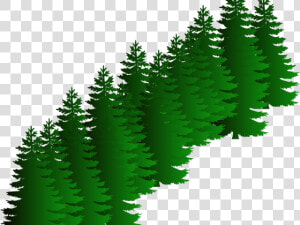 Fir Clipart Evergreen Tree   Sasquatch Svg  HD Png Download