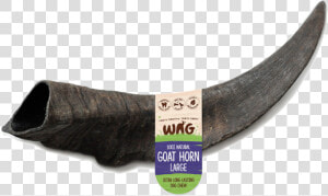 Transparent Goat Horns Png   Tusk  Png Download