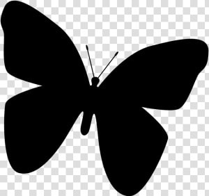 Butterfly Silhouette Clip Art   Black Butterfly Clip Art  HD Png Download