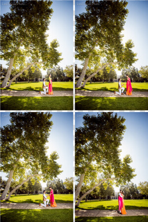 Liesl Diesel Photo Surprise Proposal Engagement Session  HD Png Download