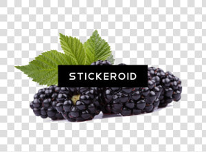 Black Raspberries Hd   Black Raspberry Transparent  HD Png Download