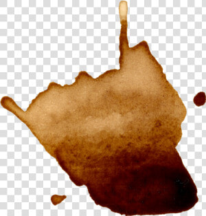 Coffee Splatter Transparent   Coffee Splatters Transparent  HD Png Download