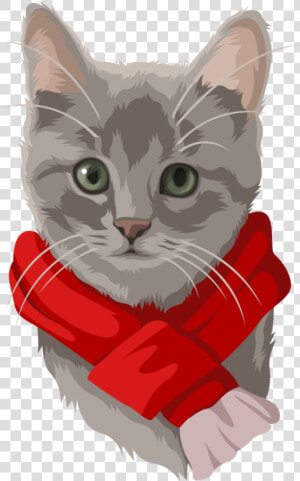 Card Gray Cat2   Kitten  HD Png Download