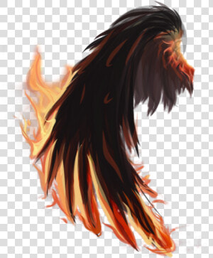  fire  wings  firewings  tumblr  edit  png  pngedit   Bird  Transparent Png