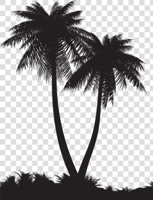 Palm Tree Silhouette Png   Png Download   Silhouette Of Palm Tree Png  Transparent Png