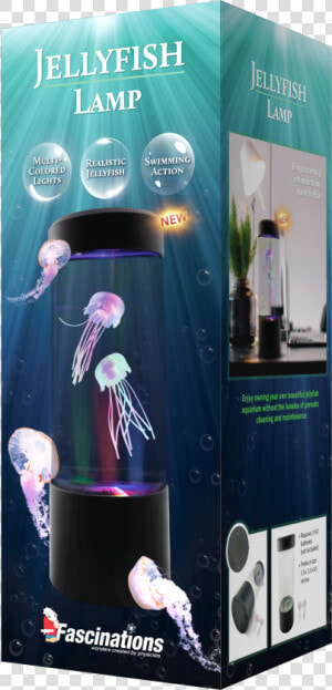 Jellyfish Lamp Class   Banner  HD Png Download