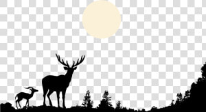 Deer Wildlife Clip Art Hand Painted Black   Forest Animals Silhouette Png  Transparent Png