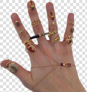  hand  hands  jewelry  rings  bugs  png  pngs  aesthetic   Hand With Rings Png  Transparent Png