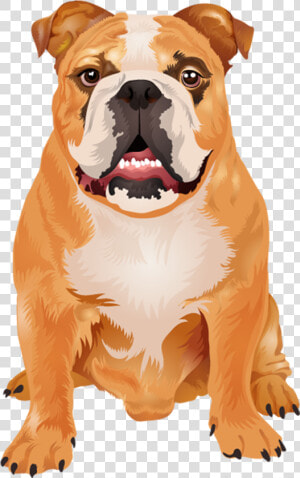 Dogs Vector Boxer   Boxer Dog Vector  HD Png Download