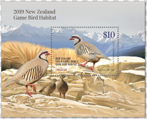 2019 Game Bird Licence  HD Png Download