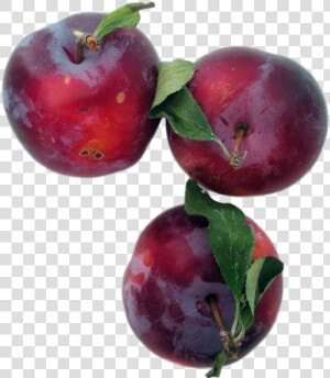 Plums Png Image   Frutti Di Bosco  Transparent Png