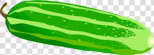 Cucumber Clipart Png Cucumber   Cucumber Clipart  Transparent Png