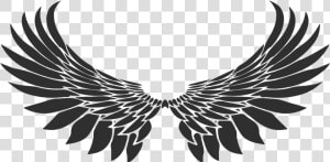 Transparent Bird Wing Png   Wing Tattoo Png  Png Download