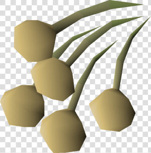 Onion Seed Osrs  HD Png Download