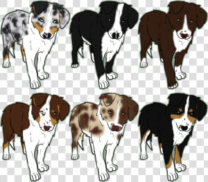 Australian Shepherd Clipart Australian Shepherd Herding   Draw An Australian Shepherd Easy  HD Png Download