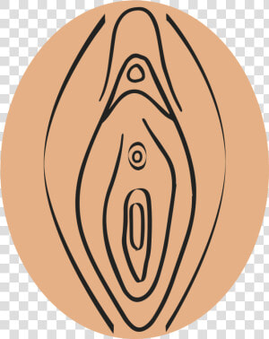 Transparent Vagina Png   Vagina Transparent Png  Png Download