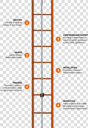 Gravitec Ladder Service   Fall Arrest System Ladder  HD Png Download