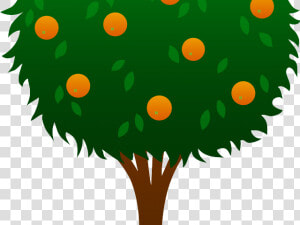 Cartoon Orange Tree   Tree With Ten Apples  HD Png Download