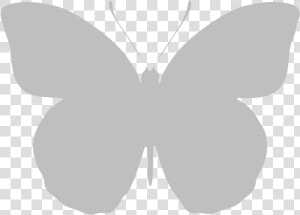 Typical Recto Orange tip   Transparent White Butterfly Png  Png Download