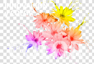 Pintura De Colores Png  Transparent Png