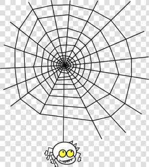 Maths In Spider Webs  HD Png Download