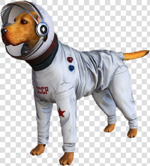 Cosmo The Spacedog Transparent  HD Png Download