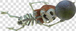 Clash Of Clans Skeleton With Bomb   Esqueletos Clash Royale Png  Transparent Png