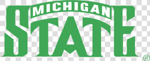 Michigan State Spartans Logo Png Transparent   Michigan State Spartans Vector  Png Download