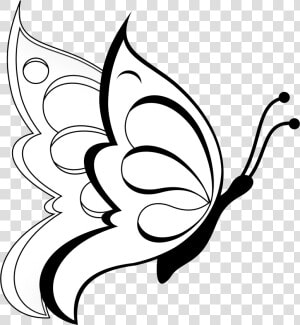 Butterfly Clipart Butterfly 19 Black White Line Art   Easy Beautiful Butterfly Drawing  HD Png Download