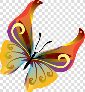 Butterfly Cliparts Transparent Orange   Transparent Moving Butterfly Clipart  HD Png Download