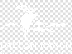 Dalton Ranch White Ihs Markit Logo White   Illustration  HD Png Download