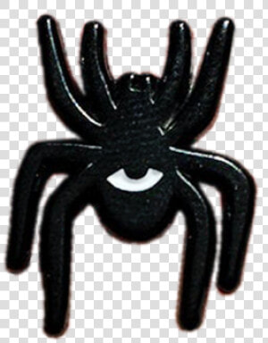 Watching Spider Pin   Tarantula  HD Png Download