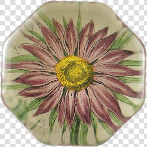 Aster Png  Transparent Png