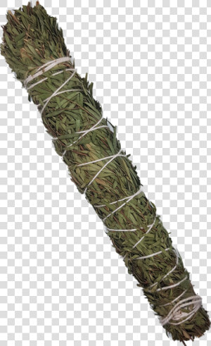 Native Australian Smudge Stick   Tree  HD Png Download