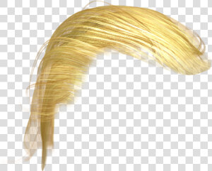 Donald Trump Wig Png   Blond Hair Png Trump  Transparent Png