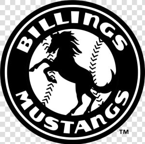 Billings Mt Mustangs Baseball  HD Png Download