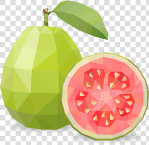 Transparent Guava Clipart   Guava Png Cartoon  Png Download