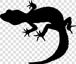 Clip Art Gecko Portable Network Graphics Silhouette   Gecko Silhouette Png  Transparent Png