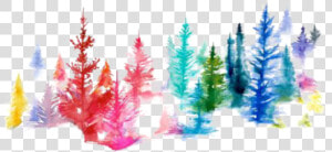  ftestickers  watercolor  trees  forest  colorful   Watercolor Painting  HD Png Download