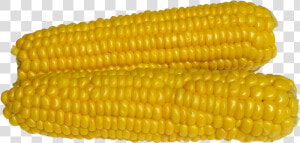 Maize  HD Png Download