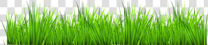 Grass With Flowers Clipart Png   Grass Clipart  Transparent Png