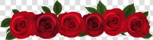 Clipart Of Db  Roses And Dozen   Red Roses Clipart  HD Png Download