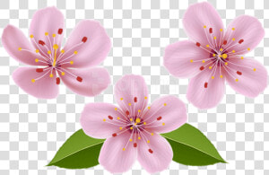 Free Png Download Spring Flowers Png Images Background   Clip Art Transparent Spring Flowers  Png Download