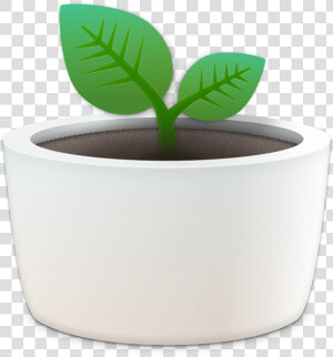 Flowerpot  HD Png Download