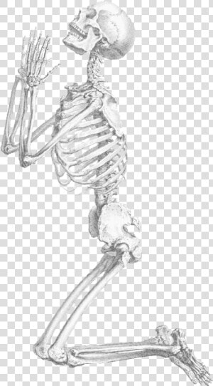 Halloween Skeleton Transparent Background   Praying Skeleton Png  Png Download