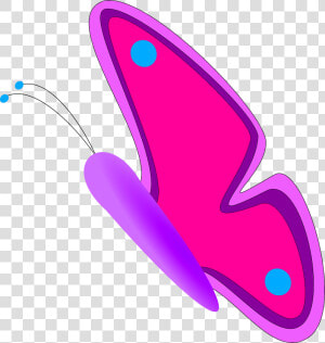 Borboleta Png  Transparent Png