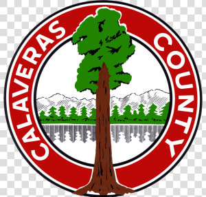 County Seal   County Of Calaveras Logo  HD Png Download