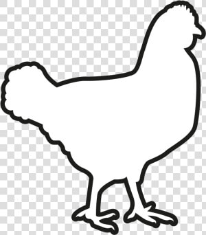 Transparent Gallina Png   T shirt  Png Download