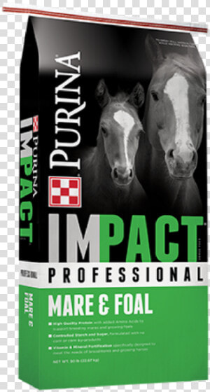 Purina Impact Professional Mare  amp  Foal Horse Feed   Purina Pink 50  HD Png Download