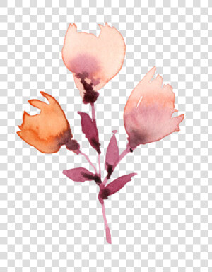 Transparent Watercolor Plants Png   Flores Pintura Acuarela Png  Png Download